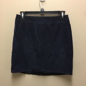 Velvet Hollister Mini Skirt Navy Blue